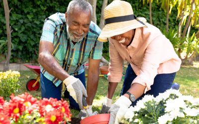 3 Top Ways For Seniors To Stay Active